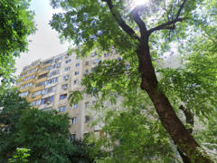 Basarabia x Bv Chisinau - 10 min Arena Nationala si 15 min Costin Georgian